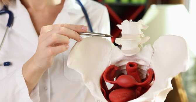 Pelvic Floor Physiotherapy in Stittsville